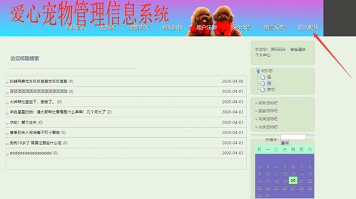 精品畢設 java javaweb寵物領養平臺管理系統完整源碼